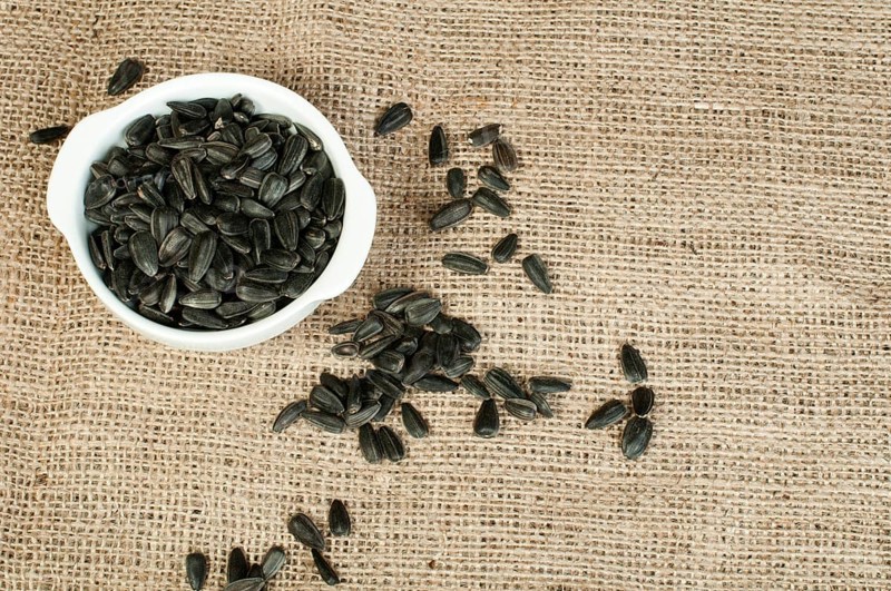Sunflower seed on burlap brown background