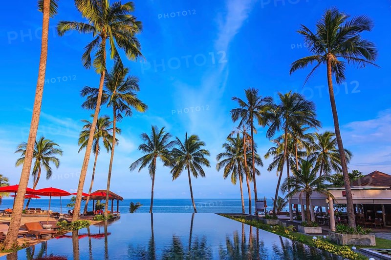 Pool surrounded by palm trees on the sea beach. On the edge of the pool red sun canopy. Rest of the Andaman Sea. Popular resort on the island of Koh Samui