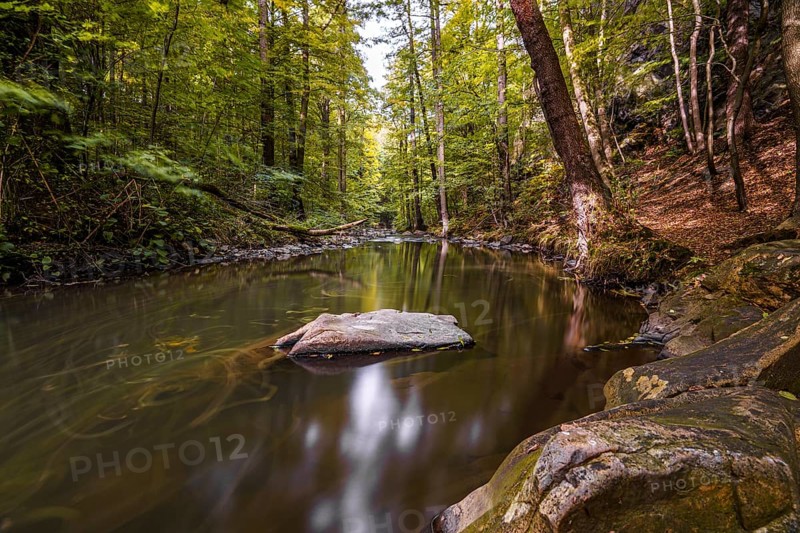 Autumn magic in the Georgewitzer Skala/ Löbauer Wasser 3