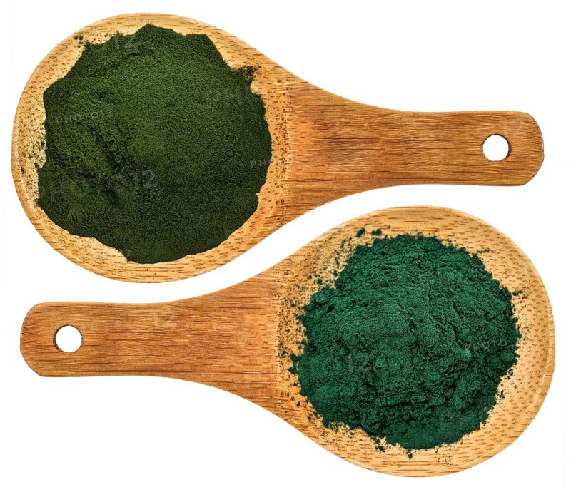 Chlorella ans spirulina supplemt powder - top view of isolated wooden spoons
