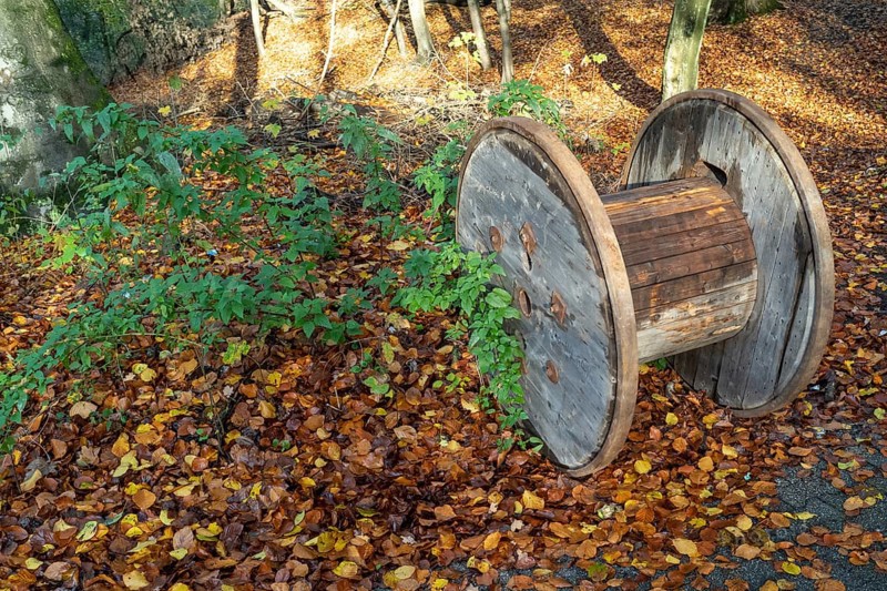 Empty cable drum in the forest