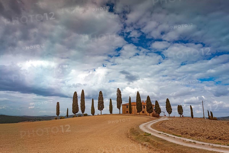 Dreamy landscape in Tuscany with cypresses and a lonely house in sunny weather, Pienza, Val d'Orcia, Tuscany, Italy, Europe