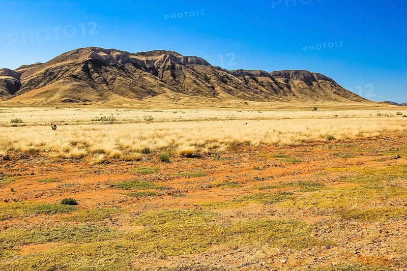 Landscape of the Namib desert during the dry season, Namib Naukluft Park, Namibia, Africa