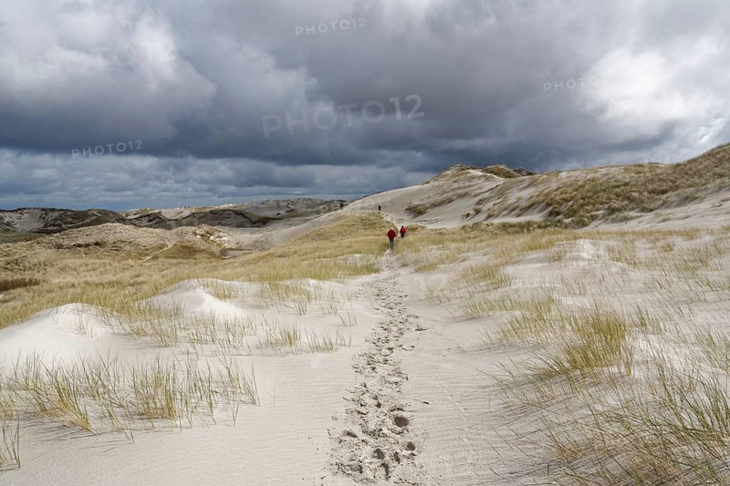 Dune landscape on Amrum