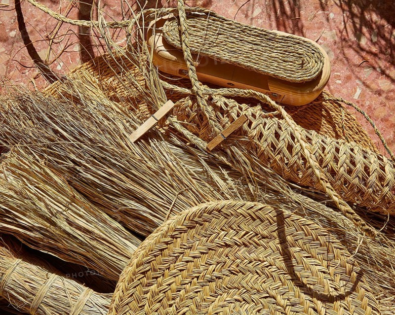 Esparto halfah grass used for crafts as cords basketry and espadrilles