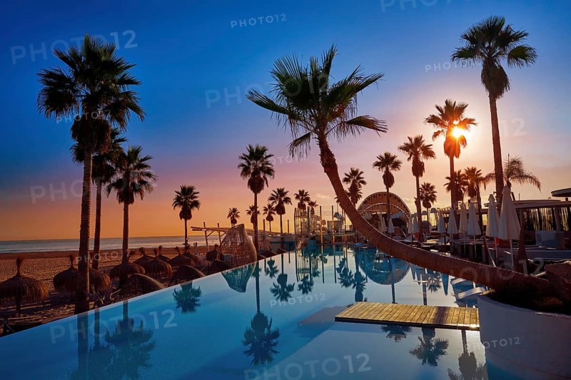 Resort pool in the beach with palm trees at sunrise