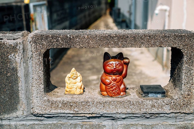 Japanese lucky cat maneki neko at Japanese old village Uchiko town in Ehime, Shikoku, Japan, Asia