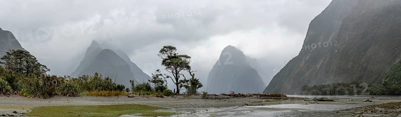 Magnificent panoramic view of Milford Sound during rainy weather, South Island of New Zealand