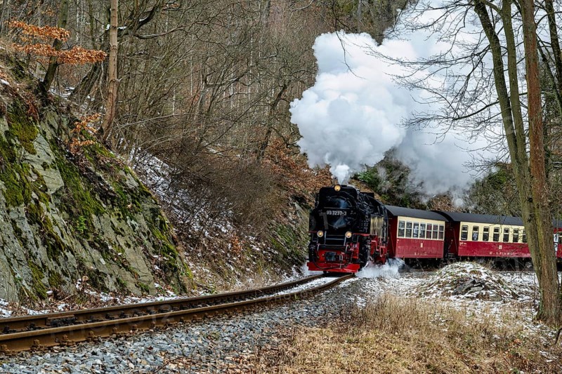 Old steam locomotive in the Harz Mountains in Germany driving through the forest
