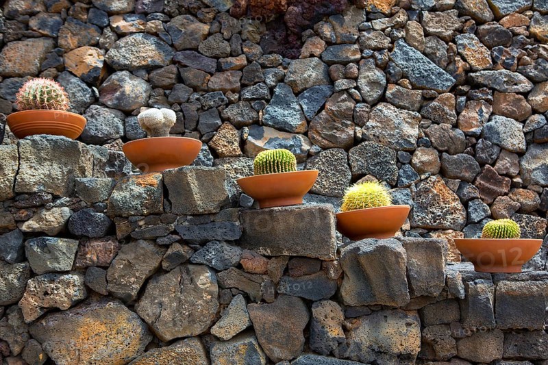 Lanzarote Guatiza cactus garden pots in a row at Canary Islands