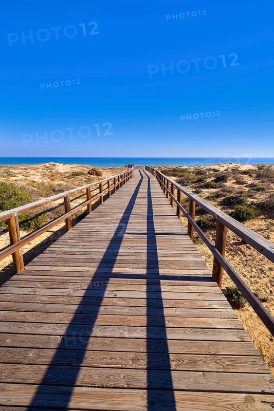 El Carabassi beach dunes in Elx Elche of Alicante in Spain at Costa Blanca also Carabasi