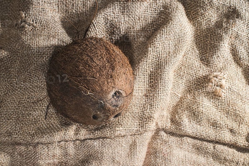 Coconut on burlap. Close up