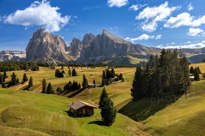 Hut on the Seiser Alm, Alpe di Siusi, in front of Langkofel and Plattkofel, South Tyrol