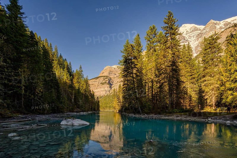 Beautiful autumn landscape scene in mountain in background in Jasper National Park west Canada with birds