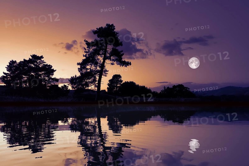 An image of a beautiful moon with lake reflections dark scenery