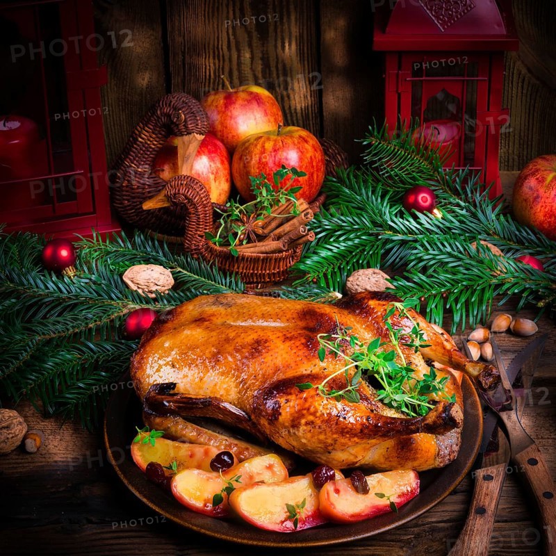 Christmas duck