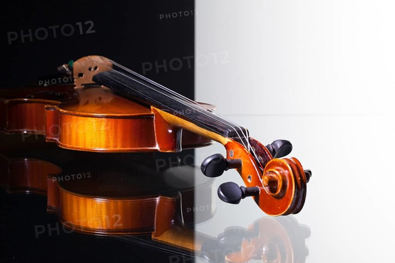 Old violin isolated on black and white background and glass desk