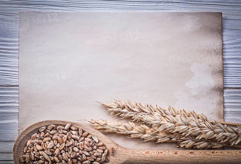 Wheat rye ears corn wooden spoon vintage paper on wood board food and drink concept