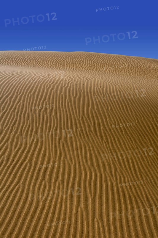 Desert dunes sand in Maspalomas Oasis Gran Canaria at Canary islands