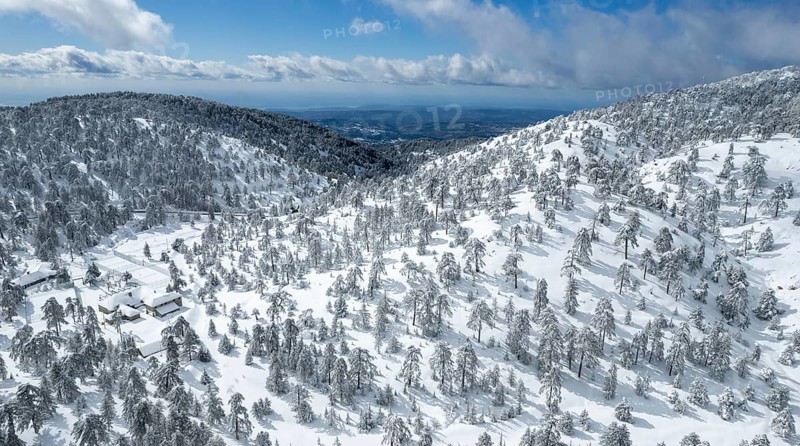 Drone aerial scenery of mountain snowy forest landscape covered in snow. wintertime Troodos mountains Cyprus