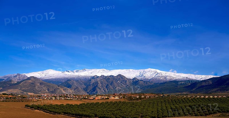 Sierra Nevada mountains in Granada with snow on tip and olive tree fields of Andalusia