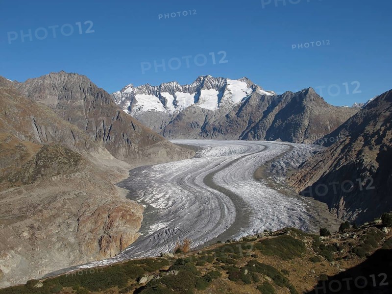 Curved Aletsch Glacier, Unesco World Heritage Site