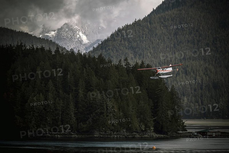 A seaplane flying over a forest and water with misty mountains in the background in Tofino on Vancouver Island in British Columbia, Canada, North America