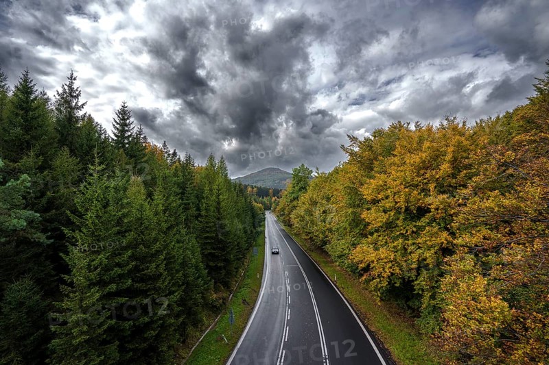 Spruce forest and deciduous forest in autumn
