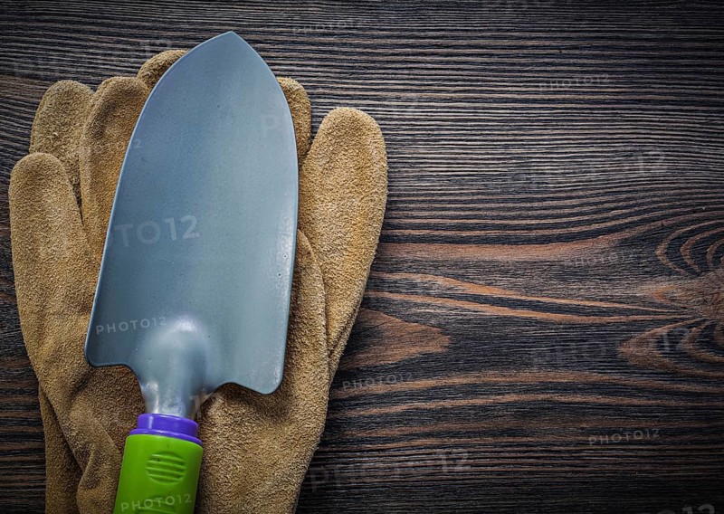 Metal trowel protective gloves on wooden board gardening concept