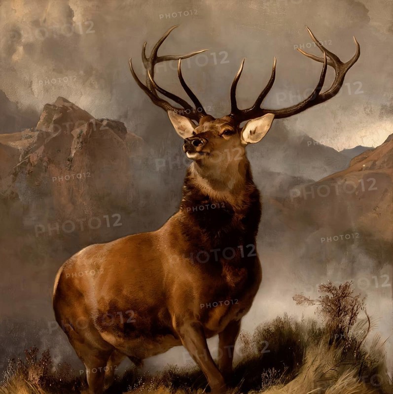 The Monarch of the Glen by Sir Edwin Landseer, Scottish National Gallery, Edinburgh, Scotland, United Kingdom, Europe