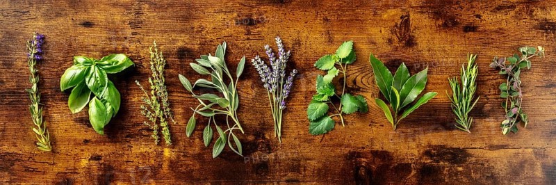 Fresh aromatic herbs, overhead flat lay panorama on a rustic wooden background. Bunches of rosemary, basil, thyme and various other culinary plants