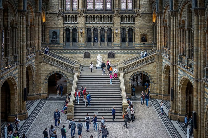 People Exploring the National History Museum in London