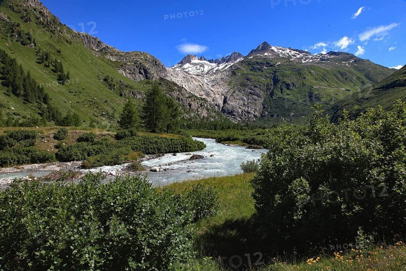 A clear river flows through a green valley, surrounded by wooded mountain slopes and snow-capped peaks under a bright blue sky, Rhone, Gletsch, Canton Valais, Switzerland, Europe