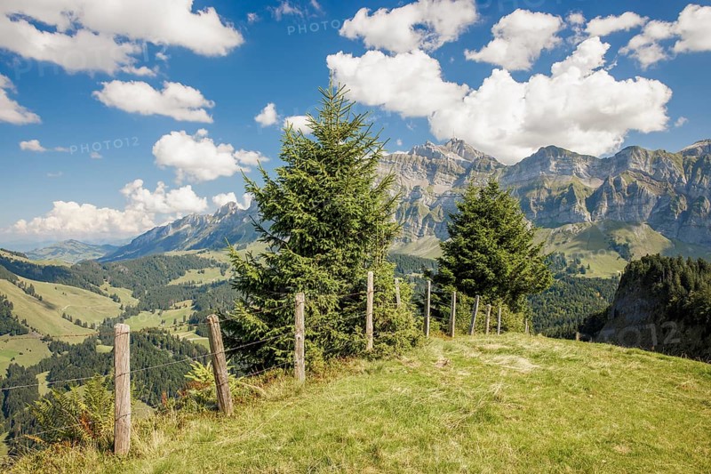 Meadow with trees, mountains in the background and clouds in the sky, Spicher with view to the Säntis, Alpstein, Appenzell, Switzerland, Europe