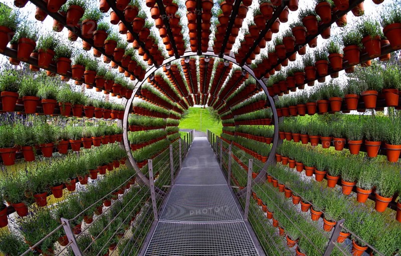 Lavender flower pots in a scented wheel, Autostadt Wolfsburg, Lower Saxony