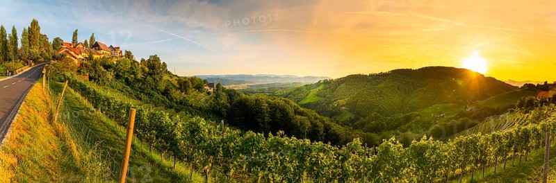 Landscape panorama of vineyard on an Austrian countryside with a church in the background in Kitzeck im Sausal. Tourist destination