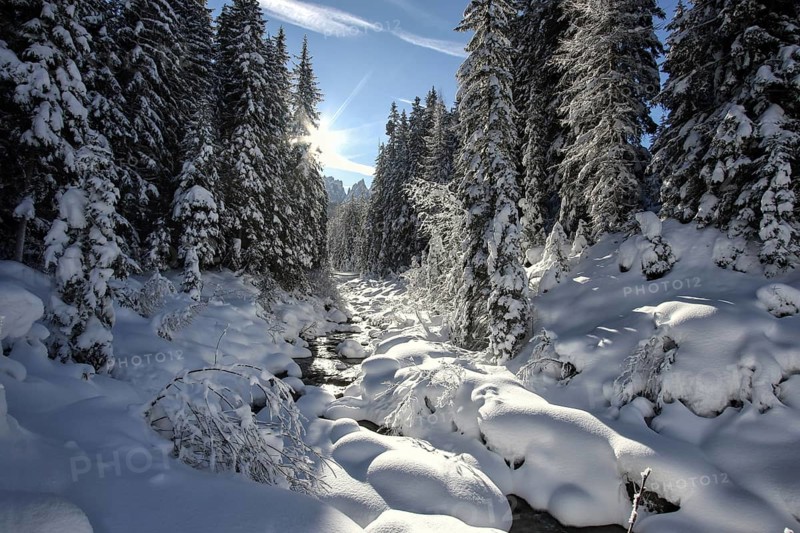 Winter