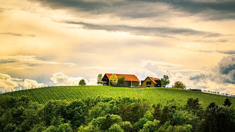 Austria vineyards in spring landscape. Leibnitz area in south Styria, wine country. Tuscany like place and famous tourist spot