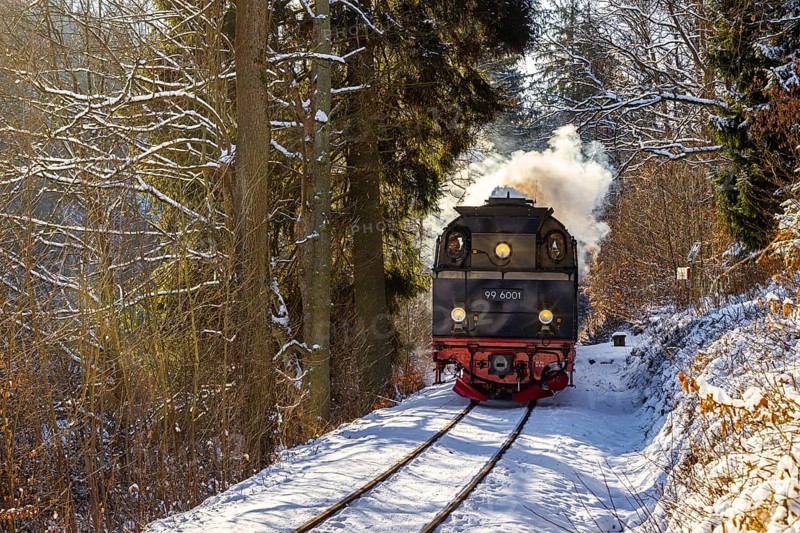 Selketalbahn the Selketal under steam Harz narrow-gauge railway