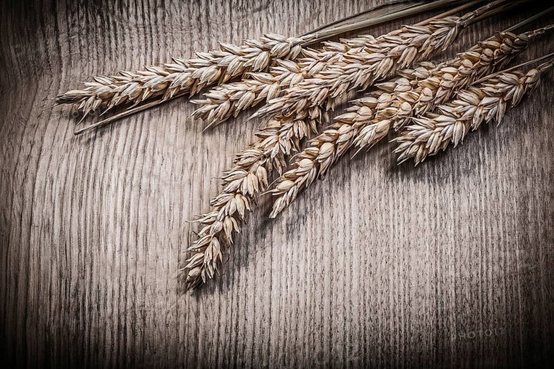 Composition of golden wheat rye ears on wooden board