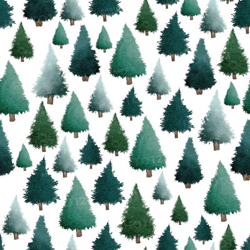 Green Christmas trees watercolour painting seamless pattern design illustration on white background