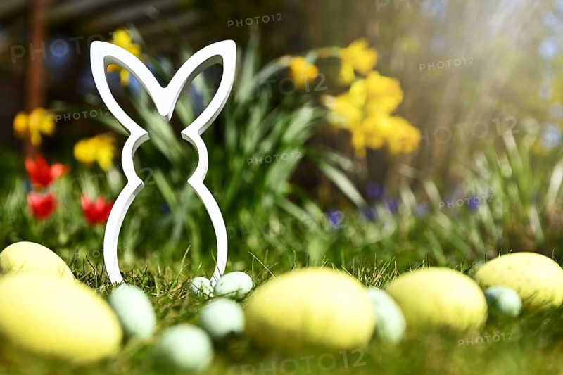 Easter bunny figure with Easter eggs in front of spring flowers