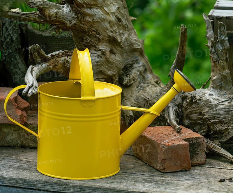 Vintage watering can in the garden