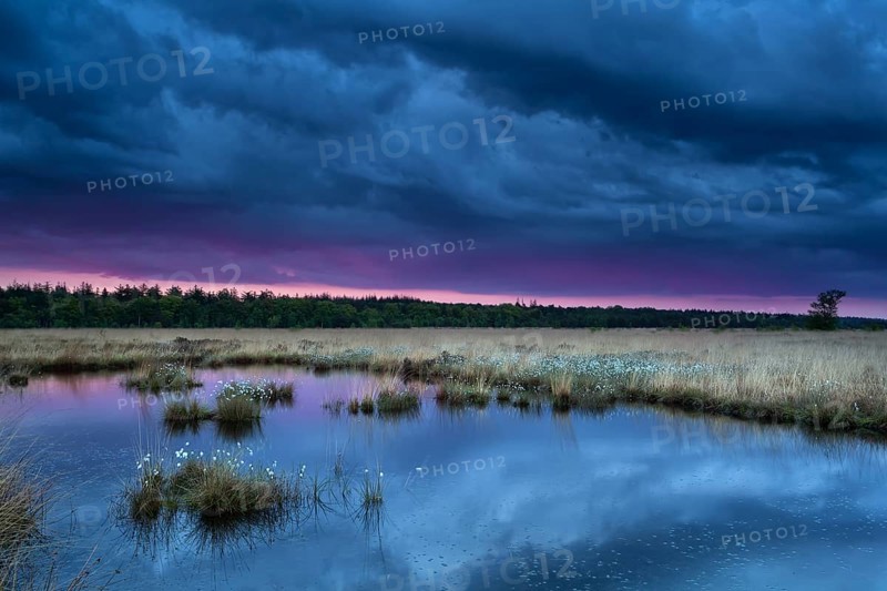 Sunset during storm over swamp, Fochteloerveen, Netherlands