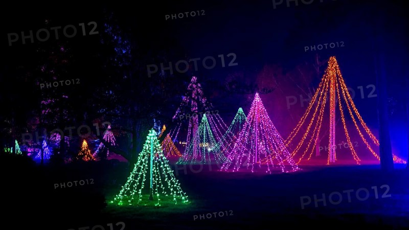 Wisley, Woking, Surrey, UK, November 19 : Christmas Glow 2022 at RHS Garden Wisley, Woking, Surrey, England, UK on November 19, 2022
