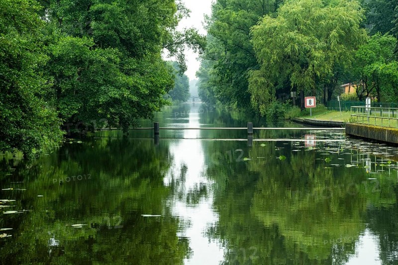 Travelling by kayak in the Lower Spreewald 3