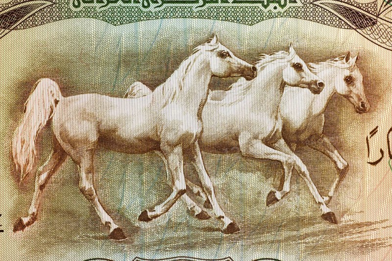 Arabian Horses on 25 Dinars 1978 Banknote from Iraq