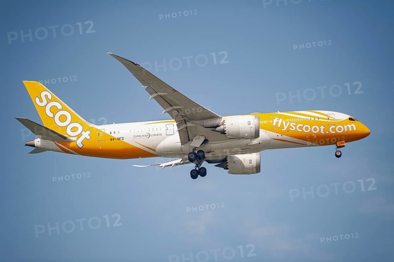 30.07.2023, Singapore, Republic of Singapore, Asia, A Scoot Airlines passenger aircraft of the type Boeing 787-8 Dreamliner with the registration 9V-OFD approaching Changi International Airport. Scoot is a low-cost airline from Singapore and a subsidiary of Singapore Airlines, Asia