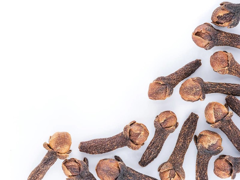 Cloves spice on white background with copy space. Isolated one edge. Top view or flat lay