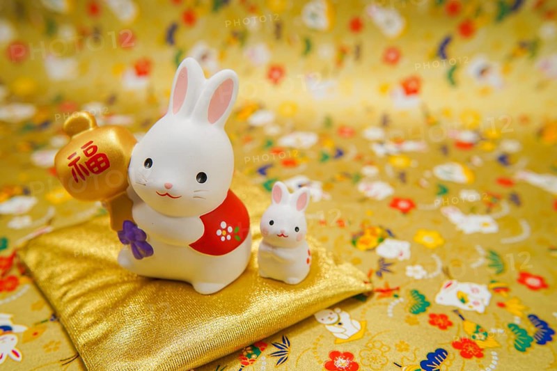 Rabbit year New Year material (New Years card). Shooting Location: Yokohama-city kanagawa prefecture